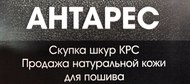 Скупаем шкуры КРС объемами от 20 тонн на постоянной основе.